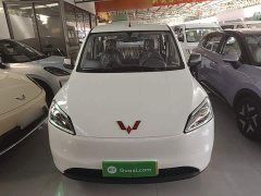 Wuling Hongguang New Energy 2024 Pure Electric 300KM Standard - ფოტო 3