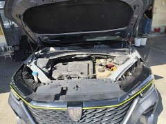 SAIC MG RX5 New Energy 2020 ePLUS National Trend Rongling Luxury Edition - ფოტო 20
