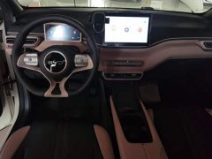 BYD Seagull 305km Freedom Edition - ფოტო 10