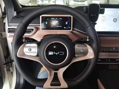 BYD Seagull 305km Freedom Edition - ფოტო 11