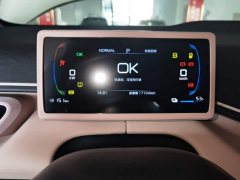 BYD Seagull 305km Freedom Edition - ფოტო 12