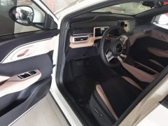 BYD Seagull 305km Freedom Edition - ფოტო 16