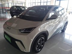 BYD Seagull 305km Freedom Edition - ფოტო 2