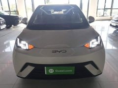 BYD Seagull 305km Freedom Edition - ფოტო 3