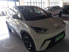 BYD Seagull 305km Freedom Edition - ფოტო 4