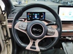 BYD Seagull Glory Edition 405km Flying Edition - ფოტო 11