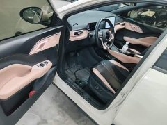 BYD Seagull Glory Edition 405km Flying Edition - ფოტო 16