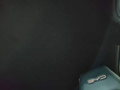 BYD Seagull Glory Edition 405km Flying Edition - ფოტო 18