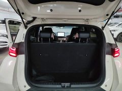 BYD Seagull Glory Edition 405km Flying Edition - ფოტო 19