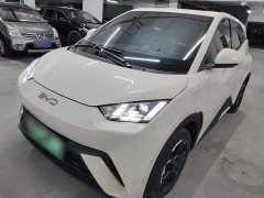 BYD Seagull Glory Edition 405km Flying Edition - ფოტო 2