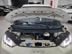 BYD Seagull Glory Edition 405km Flying Edition - ფოტო 20