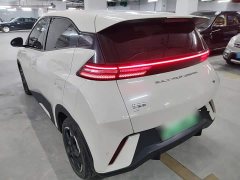 BYD Seagull Glory Edition 405km Flying Edition - ფოტო 5