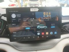 BYD Song Plus New Energy 2021 DM-i 110KM Flagship Plus - ფოტო 13
