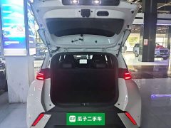 BYD Seagull 2024 Glory Edition 305km Vitality Version - ფოტო 19