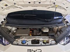 BYD Seagull 2024 Glory Edition 305km Vitality Version - ფოტო 20