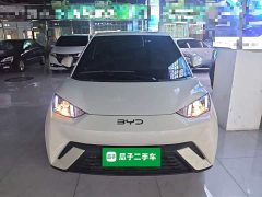 BYD Seagull 2024 Glory Edition 305km Vitality Version - ფოტო 3
