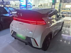 BYD Seagull 2024 Glory Edition 305km Vitality Version - ფოტო 7