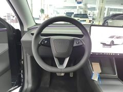 Tesla Model Y Rear-Wheel Drive - ფოტო 11