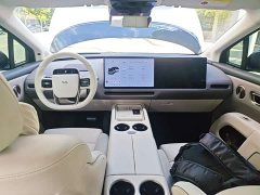Li Auto i8 Standard Edition - ფოტო 10