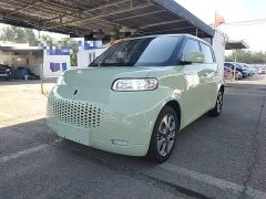 ORA White Cat 2020 305km Luxury - ფოტო 1
