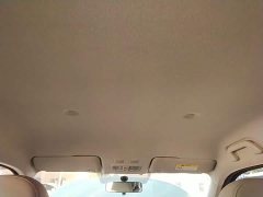 ORA White Cat 2020 305km Luxury - ფოტო 18