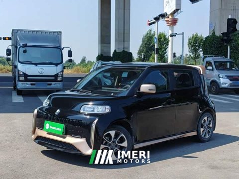 2022 ORA White Cat Little Wildcat 360km Luxury Ternary Lithium - ავტომობილი ჩინეთიდან
