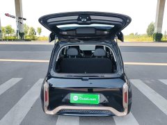 ORA White Cat Little Wildcat 360km Luxury Ternary Lithium - photo 19