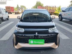 ORA White Cat Little Wildcat 360km Luxury Ternary Lithium - photo 3