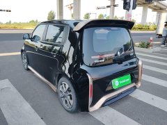 ORA White Cat Little Wildcat 360km Luxury Ternary Lithium - photo 5