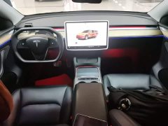Tesla Model Y Rear-Wheel Drive - ფოტო 10