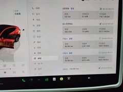 Tesla Model Y Rear-Wheel Drive - ფოტო 12