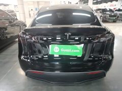 Tesla Model Y Rear-Wheel Drive - ფოტო 6