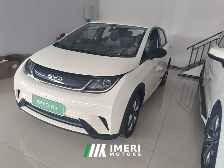 BYD Dolphin 420km Freedom Edition