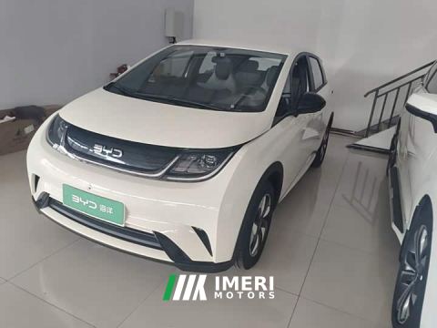 2026 BYD Dolphin 420km Freedom Edition