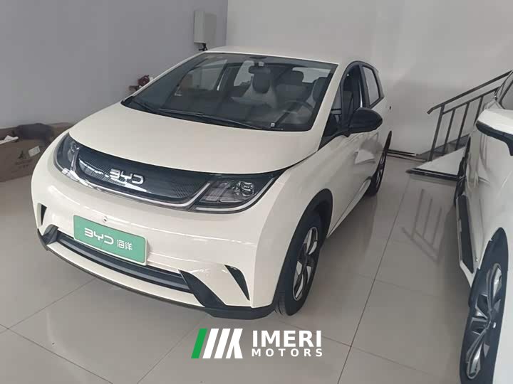 BYD Dolphin 420km Freedom Edition
