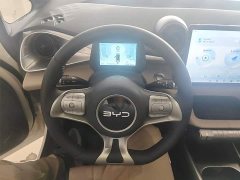 BYD Dolphin 2025 420km Freedom Edition - ფოტო 11
