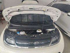 BYD Dolphin 2025 420km Freedom Edition - ფოტო 20