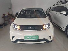 BYD Dolphin 2025 420km Freedom Edition - ფოტო 3