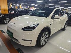 Tesla Model Y Long Range All-Wheel Drive - ფოტო 1