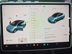 Tesla Model Y Long Range All-Wheel Drive - ფოტო 8