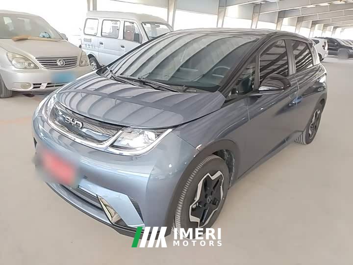 BYD Dolphin 2025 420km Vitality Edition - ავტომობილი ჩინეთიდან