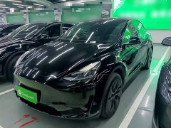 Tesla Model Y Rear-Wheel Drive - ფოტო 1