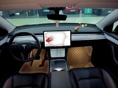 Tesla Model Y Rear-Wheel Drive - ფოტო 10