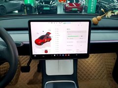 Tesla Model Y Rear-Wheel Drive - ფოტო 13