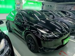 Tesla Model Y Rear-Wheel Drive - ფოტო 4