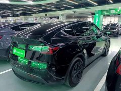 Tesla Model Y Rear-Wheel Drive - ფოტო 7