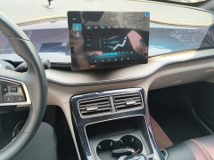 BYD Qin Plus 2021 DM-i 55KM Flagship - ფოტო 13
