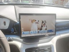 BYD Song Plus New Energy 2025 EV 520km Luxury - ფოტო 13