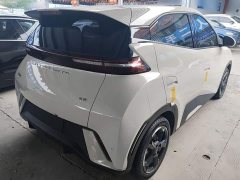BYD Seagull 2023 Freedom Edition - ფოტო 7