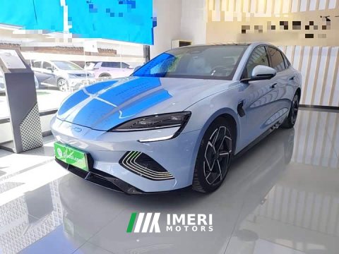 2024 BYD Dolphin 2023 Champion Edition 700km Performance Version - ავტომობილი ჩინეთიდან